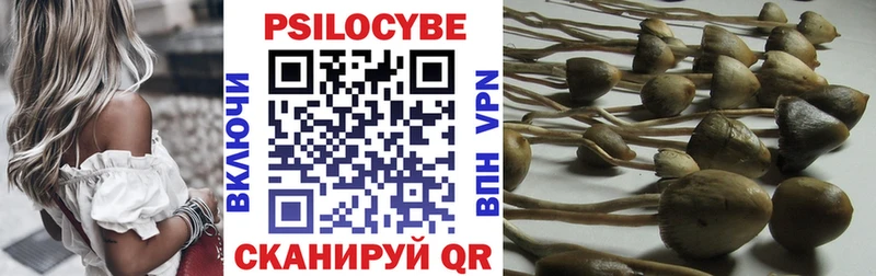Псилоцибиновые грибы Psilocybine cubensis  хочу   Калязин 